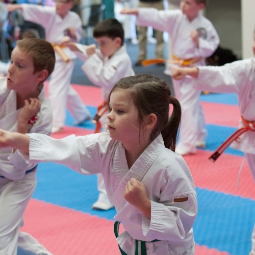 Kids Karate program